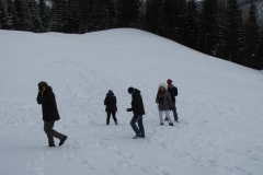 f56ed177b3a041afa81c9a0d77eb2d95